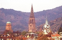 Freiburg Münster